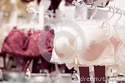 Women`s bras for sale in market. Vareity of bra hanging in lingerie underwear store. Advertise, Sale, Fashion concept Stock Photo