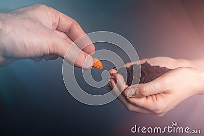 Women`s hands hold the fertile ground in which men`s hands put grain. The concept of IVF, fertility and pregnancy. Close up Stock Photo