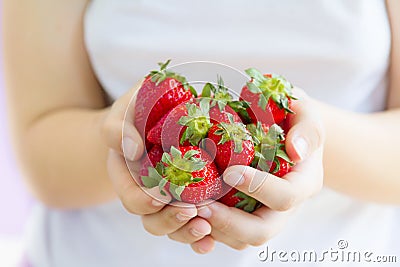 Women`s hands holding a large handful of ripe strawberries Stock Photo