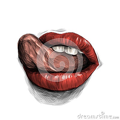 Women`s lips Vector Illustration