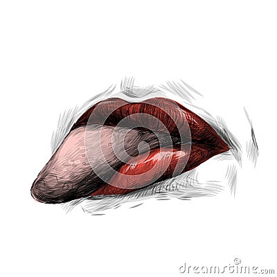 Women`s lips Vector Illustration