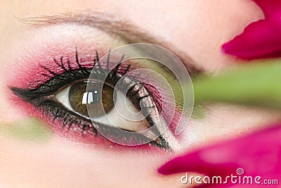 Women`s makeup brown green eyes . Stock Photo