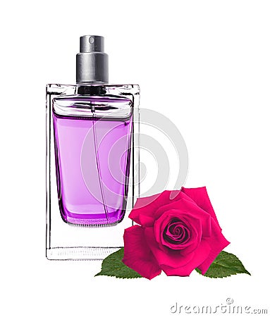 Women's perfume in beautiful bottle and pink rose flower Stock Photo