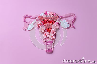 The women`s reproductive system. The concept of women`s health. Paper flowers Stock Photo