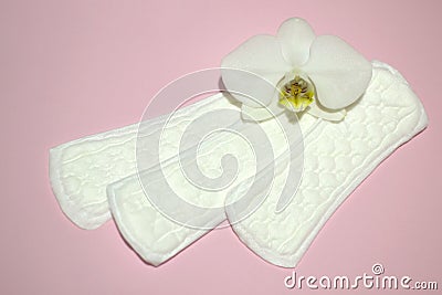 Women`s daily sanitary pads, menstruation period Stock Photo