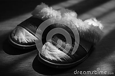 Women`s slippers with a sheepskin on a wooden floor. BW photo Stock Photo