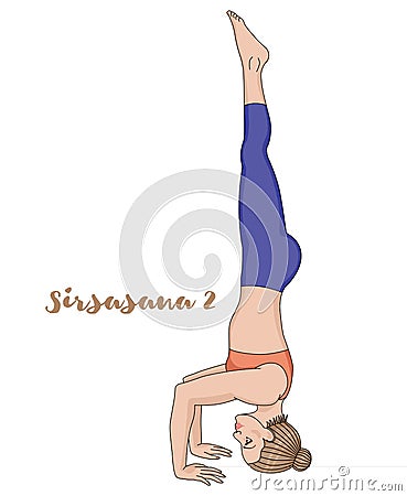 Women silhouette. Tripod Headstand yoga pose. Sirsasana 2 Vector Illustration