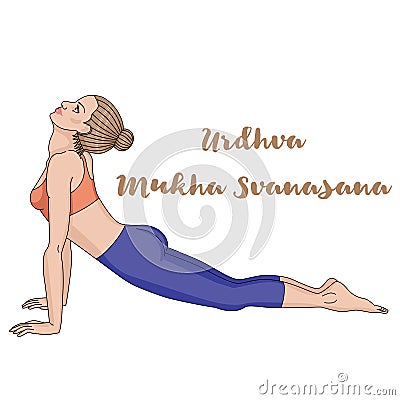 Women silhouette. Upward dog facing yoga pose. Urdhva mukha svanasana. Vector Illustration