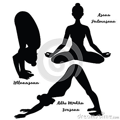 Women silhouette. Yoga lotus pose. Padmasana. Adho mukha svanasana. Downward dog. Uttanasana, forward fold. Vector Illustration