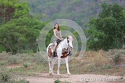 Women on skirt dress Riding Horses On field landscape Against forest. Stock Photo