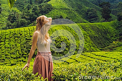 Women tourist at a tea plantation. Natural selected, Fresh tea l Stock Photo