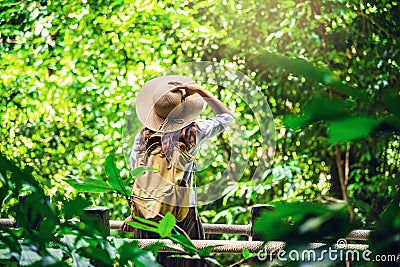 Women travel relax nature in the holiday. Nature Study in the forest. The Girl happy walking and enjoying Tourism in through the Stock Photo
