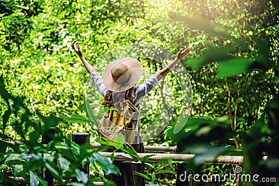 Women travel relax nature in the holiday. Nature Study in the forest. The Girl happy walking and enjoying Tourism in through the Stock Photo