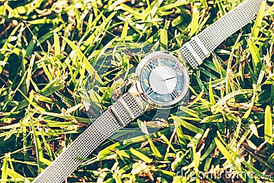 Women watches on the grass Stock Photo