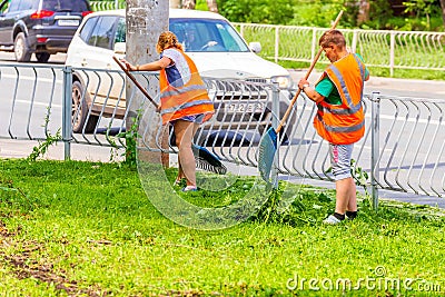 Women workers of the green farm harvest the cut grass on the lawn along the road on a summer day Editorial Stock Photo