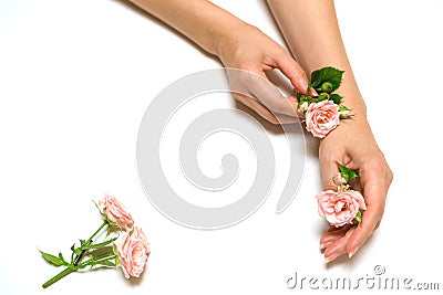 Women& x27;s fashion hands with natural cosmetics, pink roses beautiful flowers Stock Photo