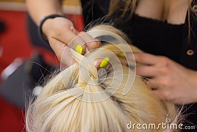 Women& x27;s hands weave a pigtail on the brunette& x27;s head. Stock Photo