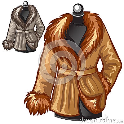 Womens brown winter coat with fur collar Vector Illustration