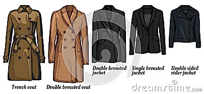 Womens jackets types set Vector Illustration