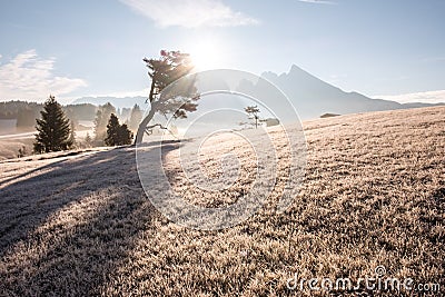 Wonderful Alpine landscape of autumn foggy morning. Seiser Alm, Alpe di Siusi with Langkofel mountain at sunrise Stock Photo