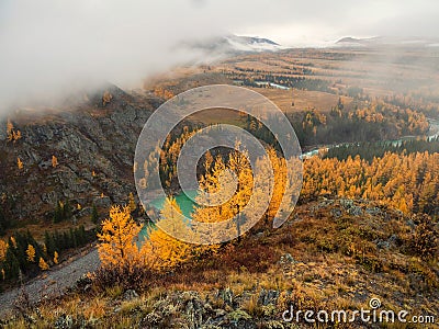 Wonderful alpine landscape with mountain river Argut in valley with forest in autumn colors on background of foggy mountains Stock Photo