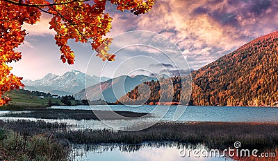 Wonderful Alpine Landscape in Sunny day. Colorful Autumn scene. Picture of wild area. Stunning Scenery during sunset Stock Photo