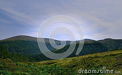 Wonderful alpine meadows Stock Photo