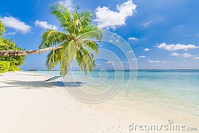 Wonderful beach scenery. Palm tree with swing, summer day, tropical landscape. Vacation and holiday beach concept Stock Photo