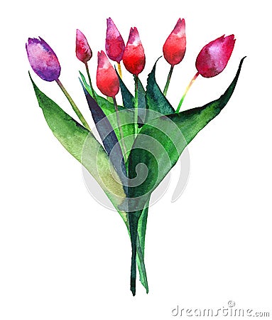 Wonderful bright refined bouquet of tulips red pink and purple flowers watercolor hand sketch Stock Photo