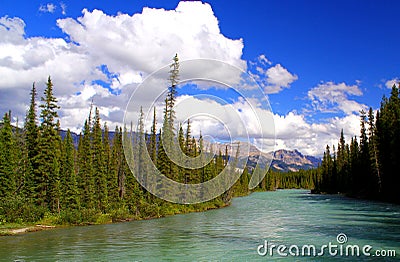 Wonderful Canada: Beautiful and wild river in the Canadian wilderness / Rocky Mountains Stock Photo