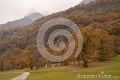 The wonderful chestnut season has started Stock Photo