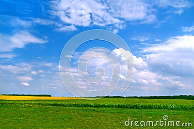 Wonderful field landscape Stock Photo