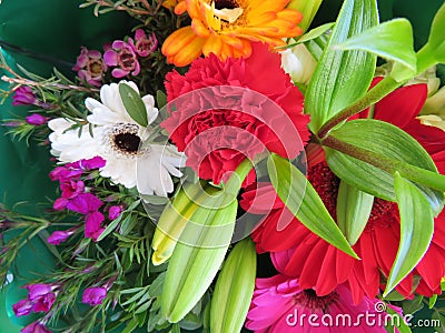 Wonderful flowers with a color and smell so good Stock Photo