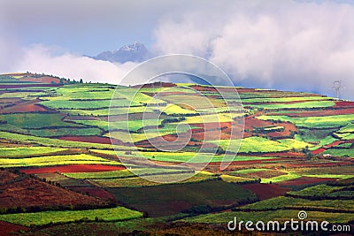 Wonderful landscape Stock Photo