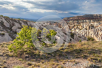 Wonderful landscape of Cappadocia in Turkey near Gereme. Stock Photo