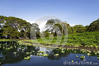 Wonderful landscape of coastline of lake Nicaragua Stock Photo