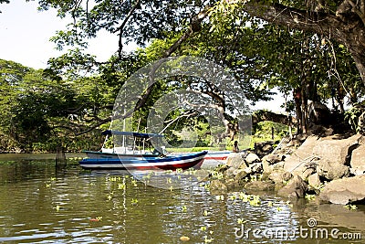 Wonderful landscape of coastline of lake Nicaragua Editorial Stock Photo