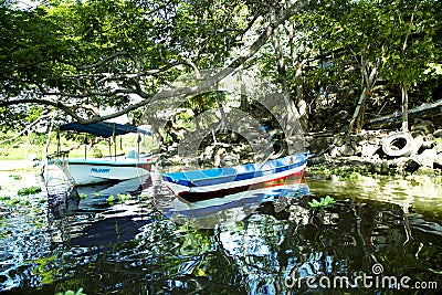 Wonderful landscape of coastline of lake Nicaragua Editorial Stock Photo