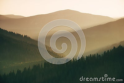 Wonderful landscape in the mountains at sunrise. View of a scenic forest hills. Golden Hour morning light. Effect warm natural l Stock Photo