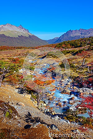Wonderful landscape of Patagonia`s Tierra del Fuego National Par Stock Photo