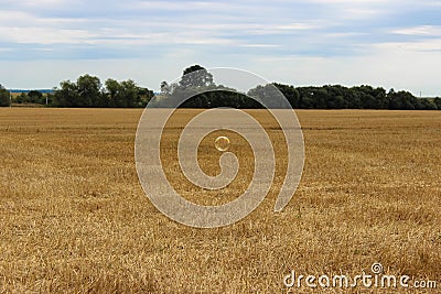 Soap bubble and large yellow wheat fields after picking up and the gloomy sky in the background Stock Photo