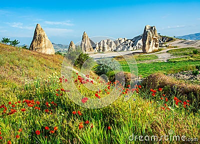 Wonderful landscape with view at fairy chimneys and with flowering poppies in Cappadocia, Anatolia, Turkey. Volcanic mountains in Stock Photo