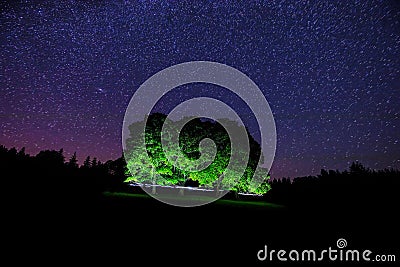 Wonderful milky way taken over forest in Å umava Stock Photo