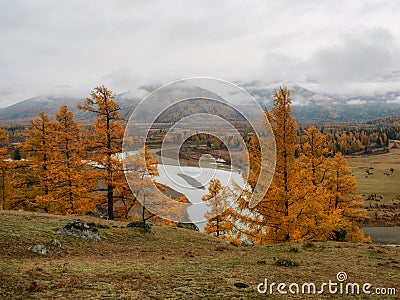 Wonderful misty alpine landscape with mountain river in valley w Stock Photo