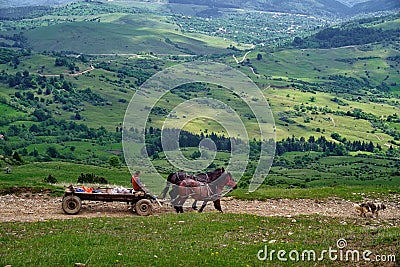 Spring. Wonderful mountain landscape - Baiului Mountains, landmark attraction in Romania Editorial Stock Photo