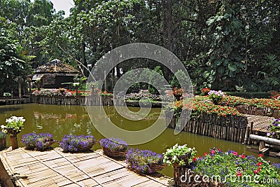 Wonderful quiet pond in the tropical park Stock Photo