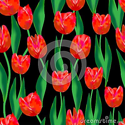 Wonderful. red tulips and amazing green leaves on a black background. Wonderful seamless pattern Vector Illustration