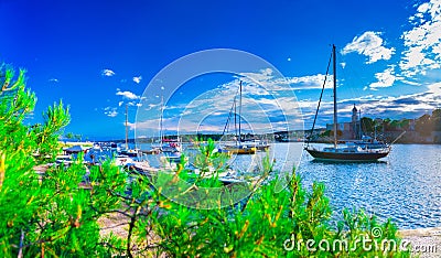 Wonderful romantic summer evening landscape panorama coastline A Stock Photo