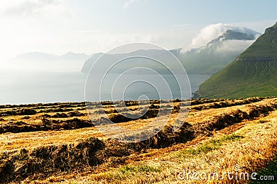 Wonderful summer scene with dried hay Stock Photo