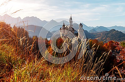 Wonderful Sunny landscape. Sunny day in Alps. Incredible majestic Neuschwanstein castle in Autumn. Popular locations for Stock Photo